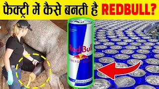 फैक्ट्री में कैसे बनती है REDBULL ड्रिंक ? RedBull making process