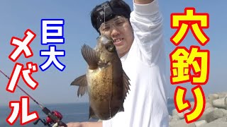 【まじ釣れる】穴釣りで爆釣する「2本針」仕掛け