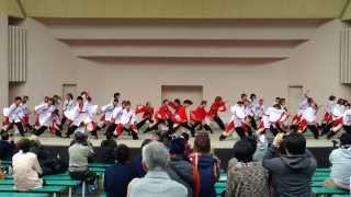 大阪芸術大学 よさこい×結び　龍馬よさこい13　円山公園音楽堂