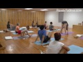 tittibhasana with lois steinberg certified iyengar yoga teacher advanced 2