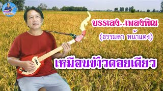 เหมือนข้าวคอยเคียว - บรรเลง เพลงพิณ (ธรรมดา หน้าแดง)