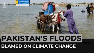 Pakistan facing 'monsoon on steroids’ catastrophe, UN chief warns