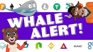 CrypTV 1 - Whale Alert!