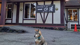 箱根　芦ノ湖一の湯がもう泊まれないと思うと...寂しいなぁ