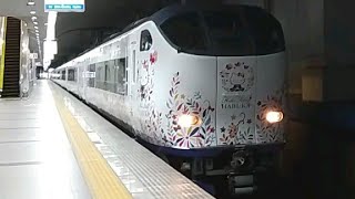 【Butterfly編成+Ougi編成】 はるか４号　京都行　関西空港駅　発車