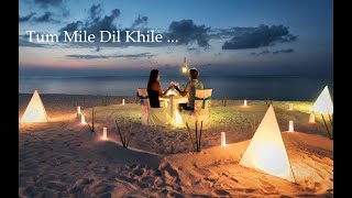 Tum Mile Dil Khile - Kumar Sanu & Alka Yagnik Romantic melody Song ❤️❤️ (Copyright Free Music)