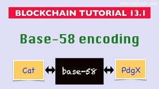 Blockchain tutorial 13.1: Base-58 encoding
