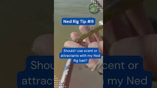 Ned Rig: The Ultimate Fishing Hack! #shorts #fishing #bassfishing