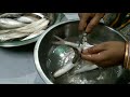 সহজ পদ্ধতিতে বাটা মাছ কাটা।। how to cutting fish....