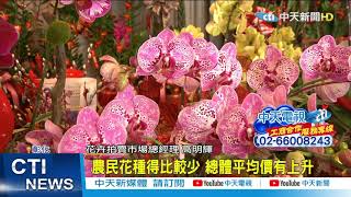 【整點精華】20210210疫情花少 春節花卉價格飛升 銀柳漲5成