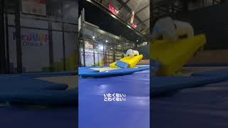 ［トランポリン］コディ(腹宙)できるまで。 #trampoline #トランポリン #凄技 #運動 #器械体操 #練習 #技