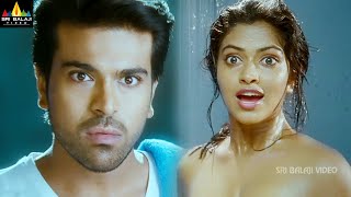 Naayak Movie Amala Paul Intro | Ram Charan | Latest Telugu Scenes @SriBalajiMovies