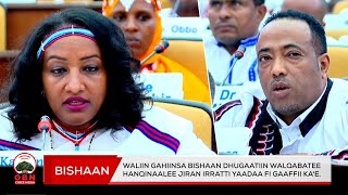 Waliin gahiinsa Bishaan dhugaatiin walqabatee hanqinaalee jiran irratti yaadaa fi gaaffii ka'e.