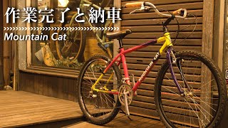 【PIT TIPS】蘇ったマウンテンキャットが無事嫁ぎました〜Panasonic MountainCat