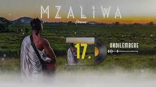 DRIEMO - UNDILEMBERE (Official audio visualizer)#Mzaliwa #malawi #afrobeat