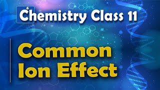 Common Ion Effect - Chemical Equilibrium - Chemistry Class 11