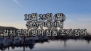 11월 25일 (월) 생선 안내 #갈치 #민어 #조기 #참돔 #병어 #장어