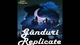 14.Chindea-Ravar Sabin - Declarativ [Album : Gânduri Replicate]