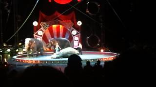 Elephants at the circus