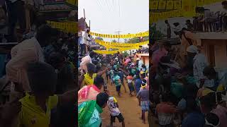 boll reddiyar gilli🔥7.73😘#eruthukattu #viral #video #kaalai #jallikattu #manjuvirattu #manjuvirattu