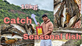 Experiencing My First Ever, catching Seasonal Fish 🐟🐟