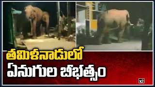 తమిళనాడులో ఏనుగుల బీభత్సం: Elephants Hulchal in TamilNadu's Coimbatore | 10TV News