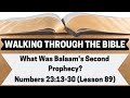 What Was Balaam's Second Prophecy? [Numbers 23:13-30][Lesson 89][WTTB]