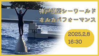 神戸須磨シーワールド　オルカパフォーマンス　2025.2.8 16:30