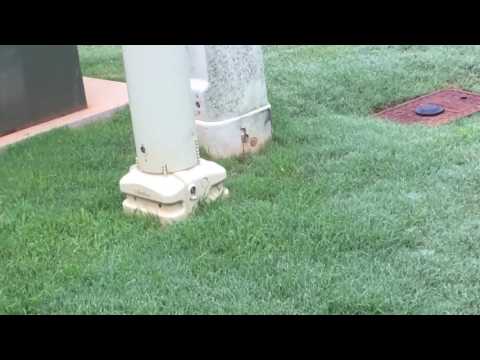 How to get DEEP DEEP GREEN Bermuda grass with Milorganite How to get DEEP DEEP GREEN Bermuda grass with Milorganite