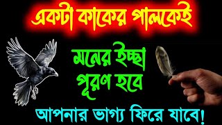 ১টি কাকের পালক দিয়েই হবে আপনার ইচ্ছা পূরণ🔥🔥 || কাউকে না জানিয়ে করে ফেলুন