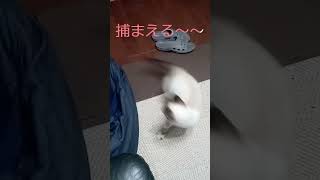 気になるあいつ