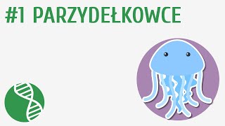 Parzydełkowce #1 [ Bezkręgowce ]