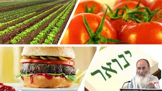 האם מותר להגיד המבורגר? – הרב אורי שרקי