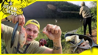 STINKS and CATCHES from the folding chair | Fishing with liver and fish scraps