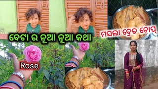 ଆମ ପ୍ରୟାସ ର ନୂଆ ନୂଆ କଥା//Aaji ଆମେ କଉଠି କାହା ଘରକୁ ଗଲୁ @mrs.rajeswarikanhar#dailyvlogging