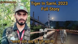 Tiger Story 2023 | सारनी में रहने वाले बाघ की कहानी | Complete Story Of Tiger In Sarni 2023