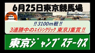 【競馬予想】JGⅢ東京ジャンプステークス2022年6月25日 東京競馬場