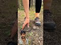 wild area machhar bhagane ki tric bushcraft camping challenge redbull shorts