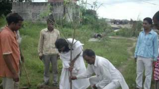 Mass plantation by Panchtatva CrazyGreen