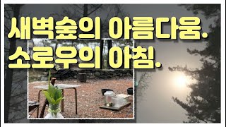 소로우가 즐겼을 만한 새벽숲의 맑은 새소리와 풍경 나눕니다. 코로나 뿐 아니라 일상의 먼지를 씻어내는 깨끗한 소리