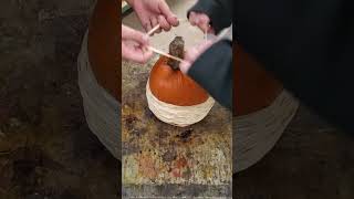 pumpkin 🎃 explode 2023