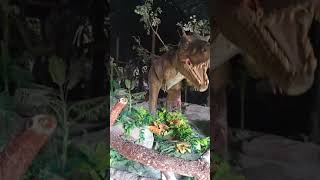 Tryceratops | Funny Dinosaur cartoon | Dinosaur battle | डायनासोर 16 cr years Ba
