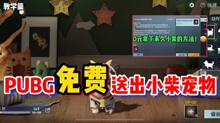 求姐：如何免费领取永久小柴，PUBG免费派发永久皮肤｜PUBGMOBILE