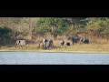 Brighton Kumchedwa Finalist of the Tusk Award for Conservation in Africa, 2017