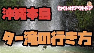 【沖縄本島】ター滝の行き方　キャニオリング　トレッキング