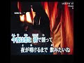 酒は恋割り涙割り～小田純平 ， カバ ／ 鄭惠心。