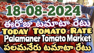 పలమనేరు 🍅🍅🍅టమాటో మార్కెట్ ధరలు 18-08-2024 ||ఈ రోజు టమోటా ధర Palamaner Market||@ckgowthamvlogs