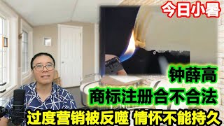 钟薛高的商标注册有没有问题？和网红奶茶、知识付费有区别吗？和路雪有商业道德 钟薛高有吗？