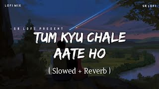 Tum Kyu Chale Aate Ho - Lofi Mix (Slowed + Reverb) | Vicky Singh | SR Lofi