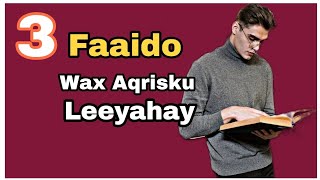 3 Faaido oo Wax aqrisku leeyahay | Bar Naftada Wax akhriska